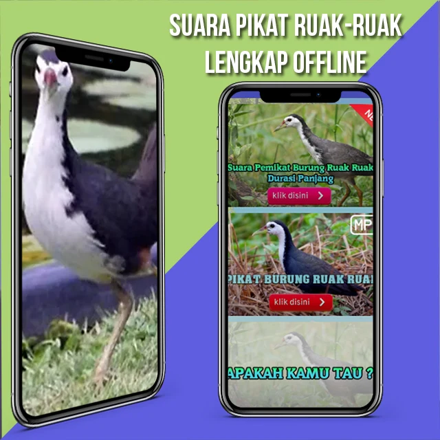 Suara Pemikat Ruak Ruak Ampuh screenshot
