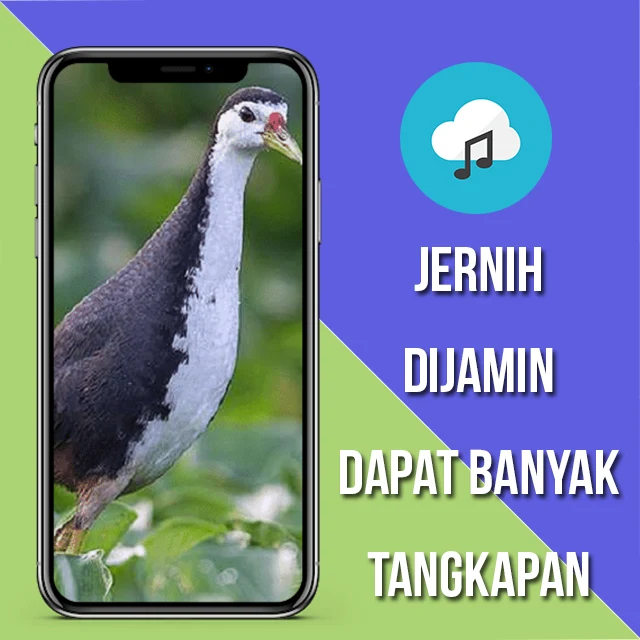 Suara Pemikat Ruak Ruak Ampuh screenshot