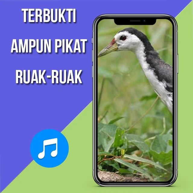 Suara Pemikat Ruak Ruak Ampuh screenshot